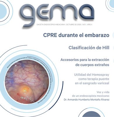 GEMA 37 oct 2022