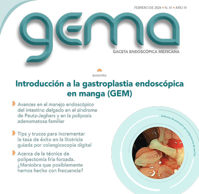 GEMA 41 feb 2024