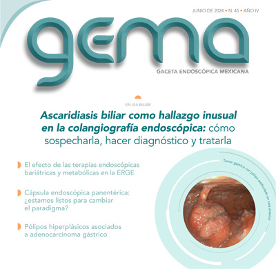 GEMA 45 jun 2024