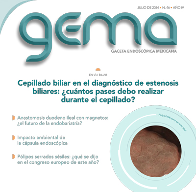 GEMA 46 jul 2024