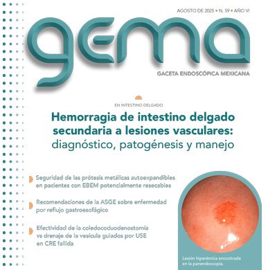 GEMA 47 ago 2024